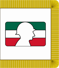 [Mexican Army ceremonial guidon]